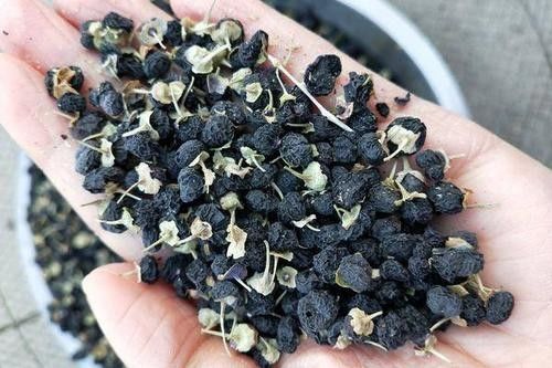 OEM die Chinees Herb Drink Pure Dry Black Goji Berry Tea inpakt